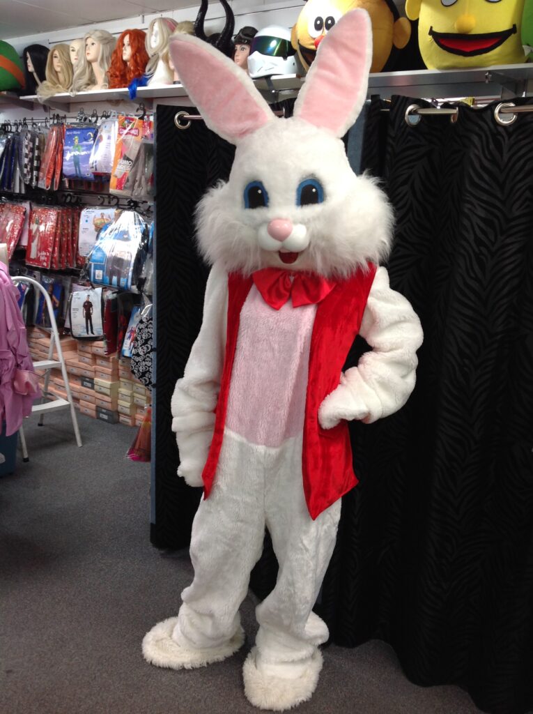Bunny Rabbit ABC Costume Hire